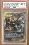 Pikachu & Zekrom Gx