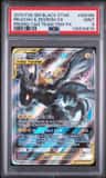 Pikachu & Zekrom Gx