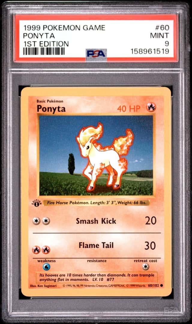 Ponyta