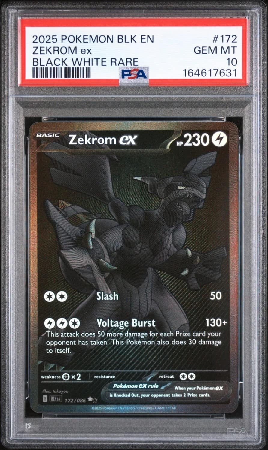 Zekrom Ex