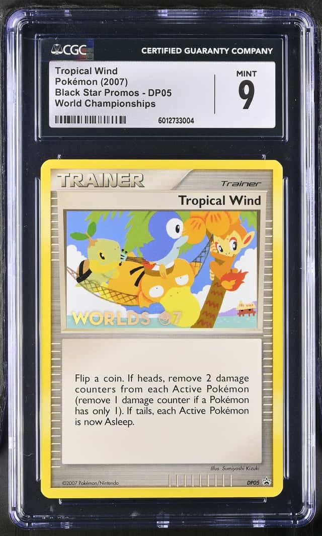 Tropical Wind
