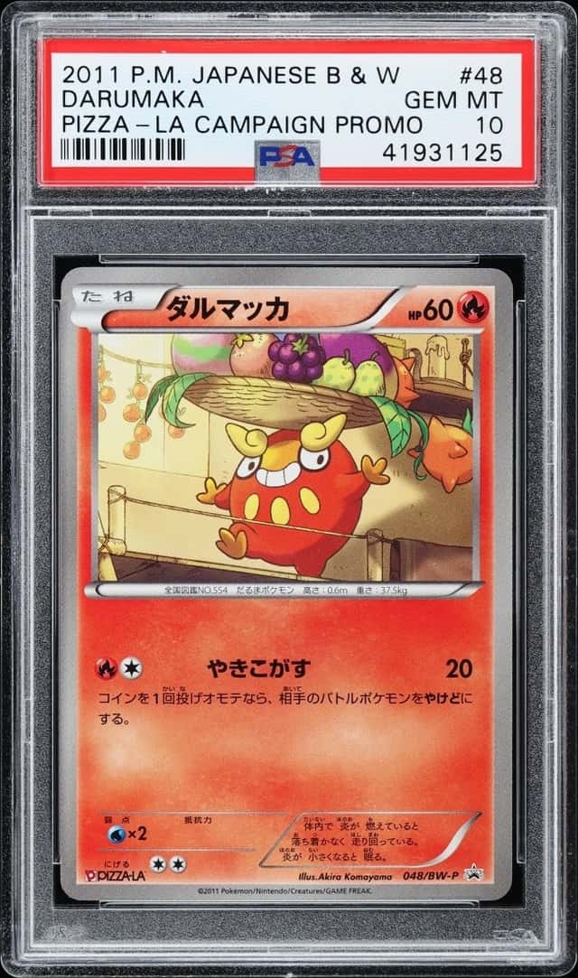Darumaka