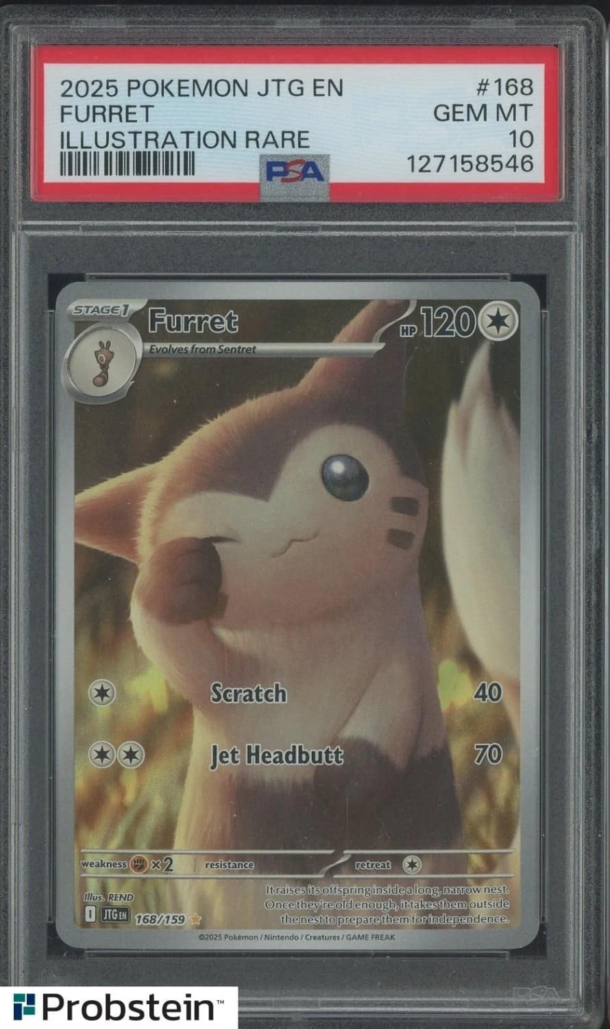 Furret