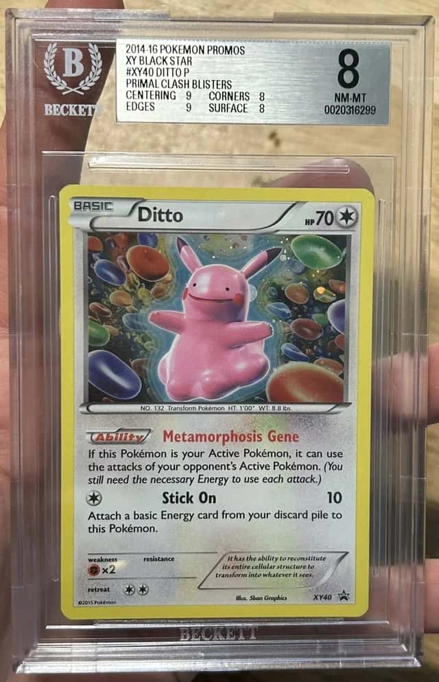 Ditto