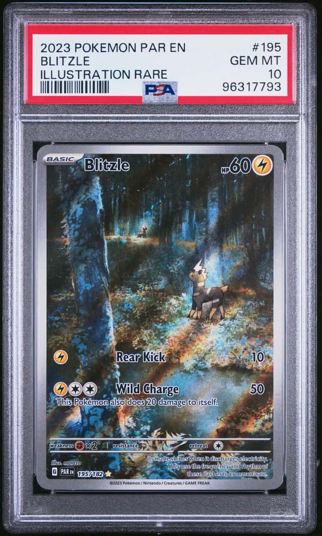 Blitzle
