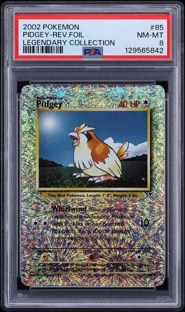 Pidgey