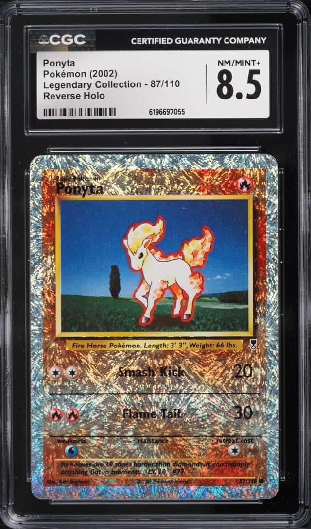 Ponyta