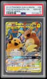 Raichu & Alolan Raichu Gx