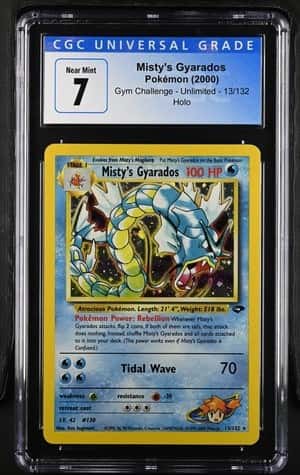 Misty's Gyarados