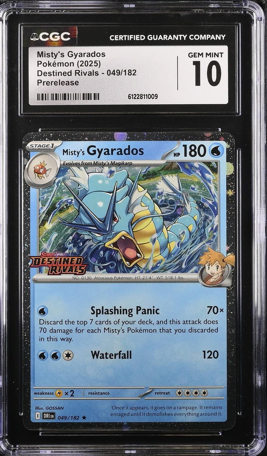 Misty'S Gyarados