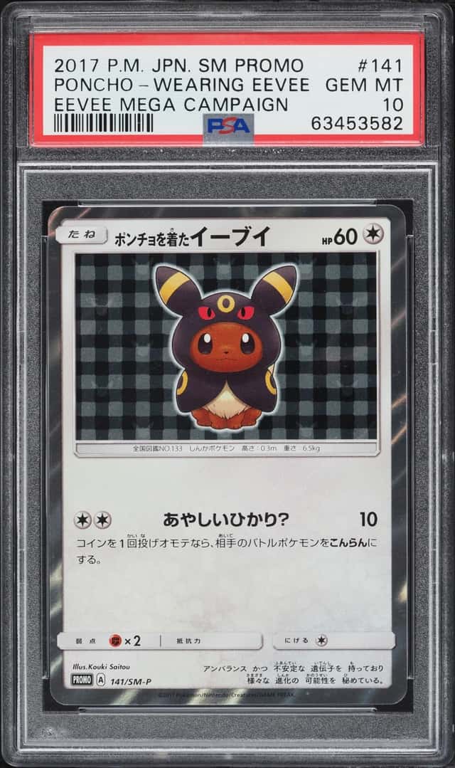 Poncho-Wearing Eevee