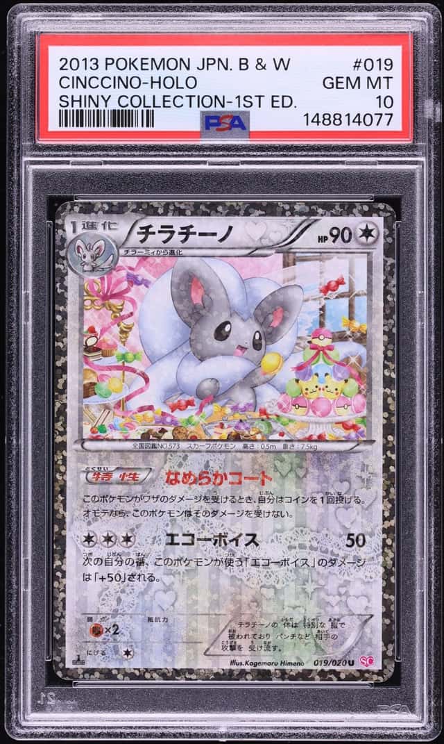 Cinccino