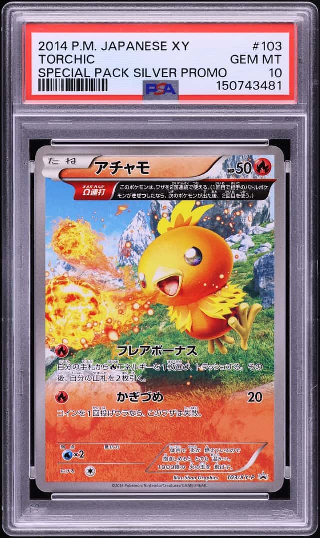 Torchic