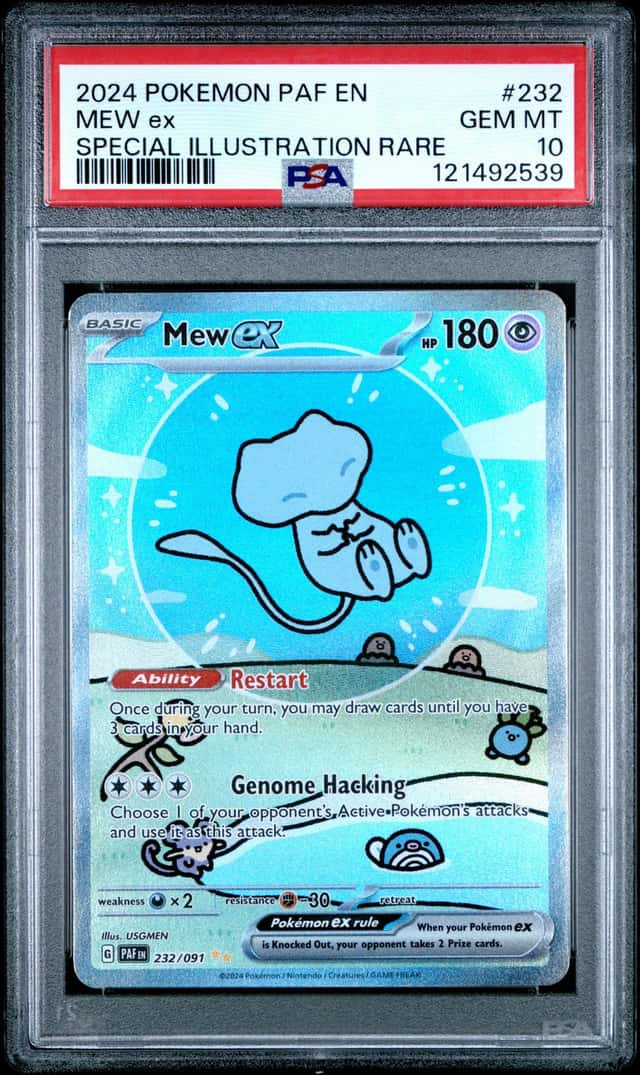 MEW ex