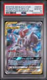 Mewtwo & Mew Gx