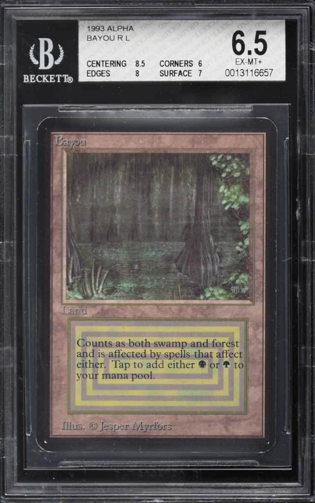 Bayou