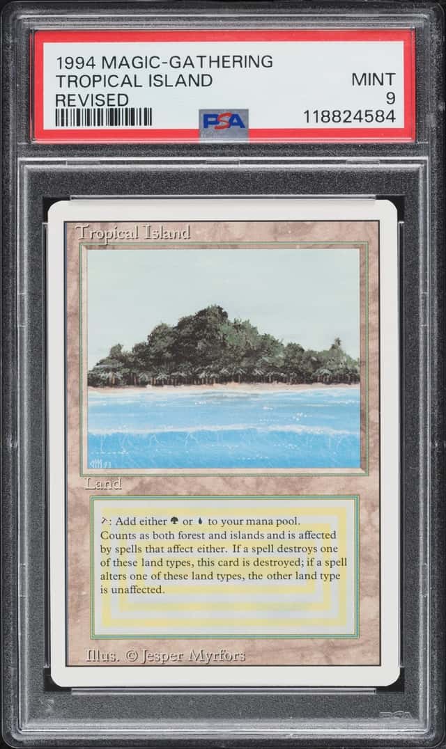 Tropical Island