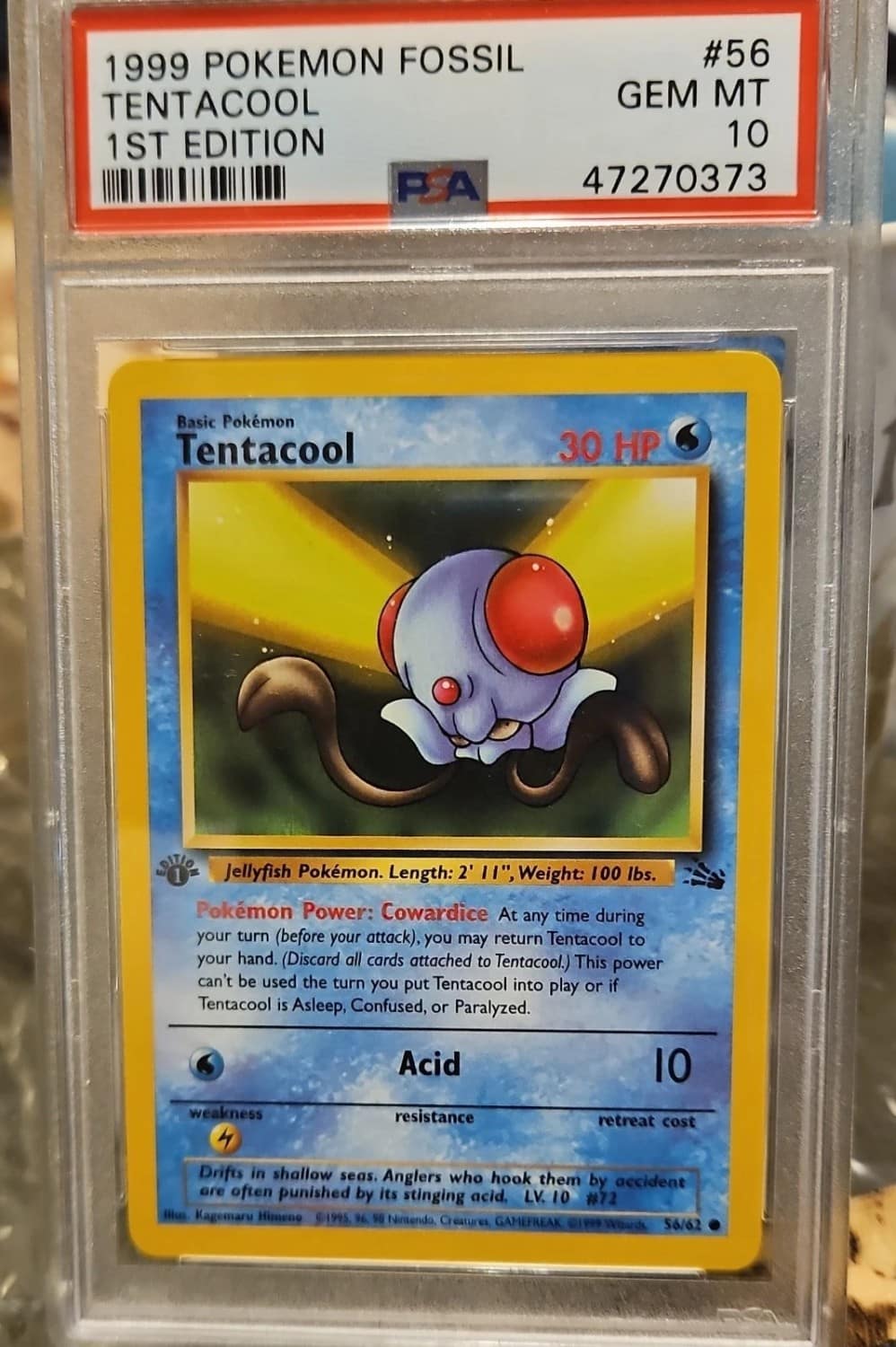 Tentacool