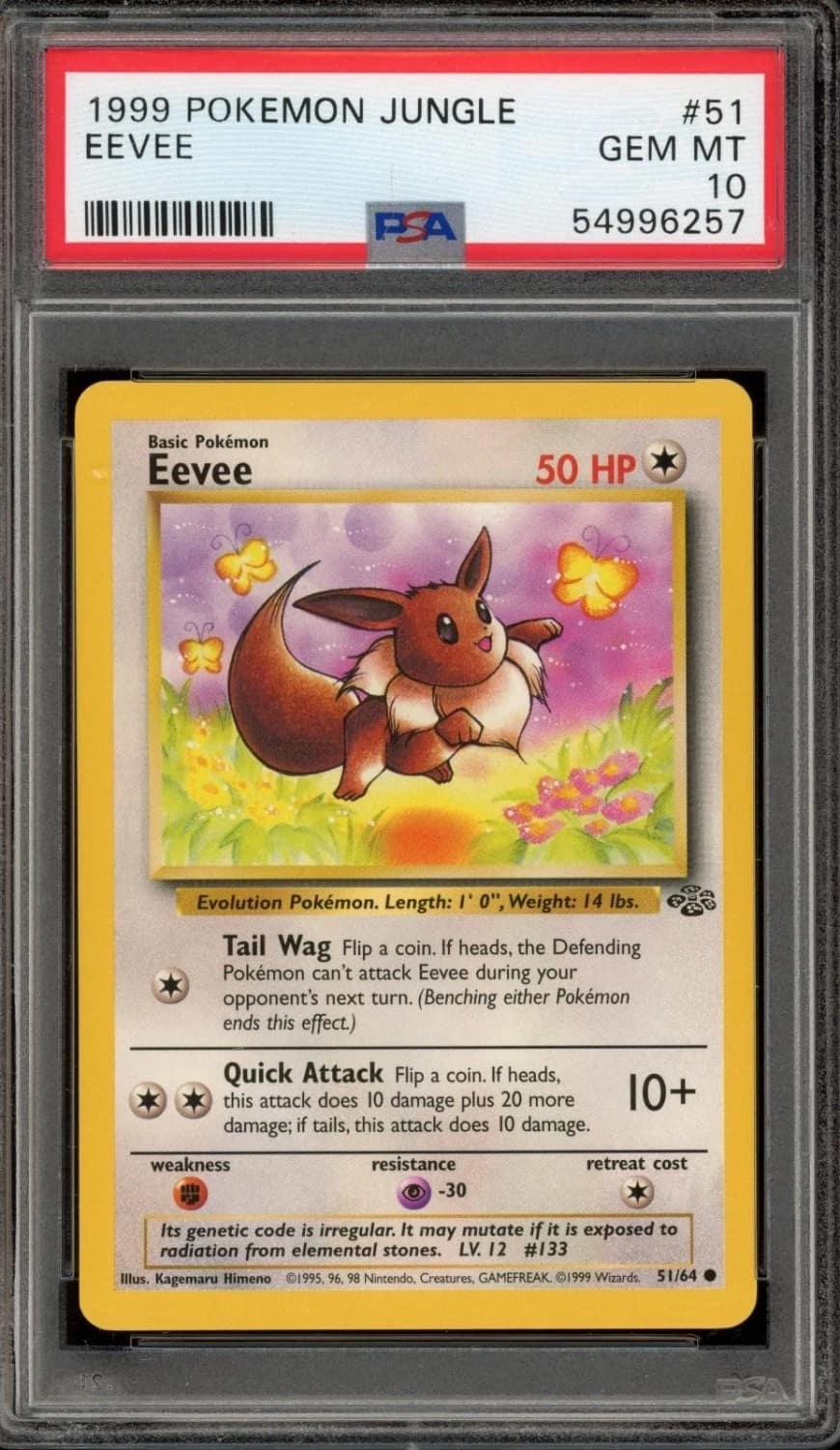 Eevee