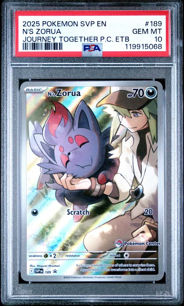 N's Zorua