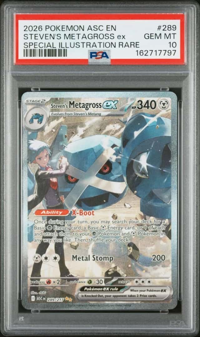 STEVEN'S METAGROSS ex
