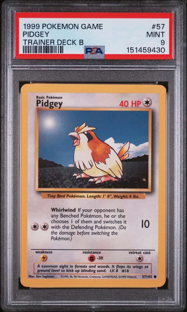 Pidgey