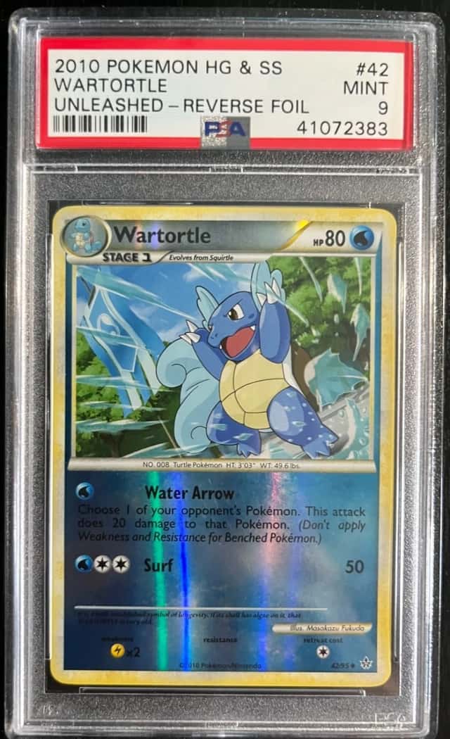 Wartortle