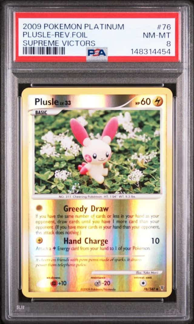 PLUSLE