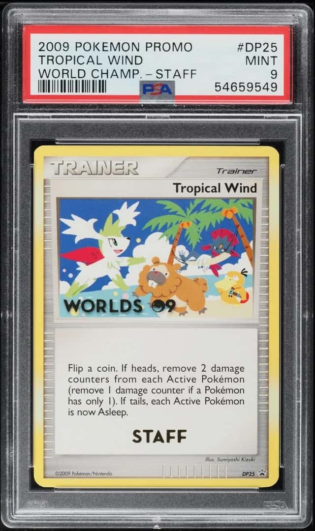 Tropical Wind