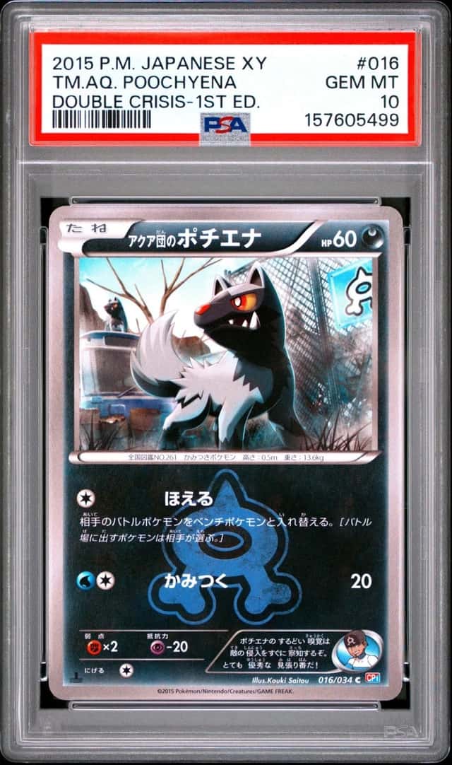 TM.AQ. POOCHYENA