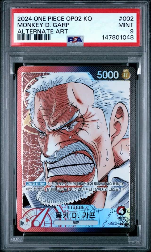 Monkey D. Garp