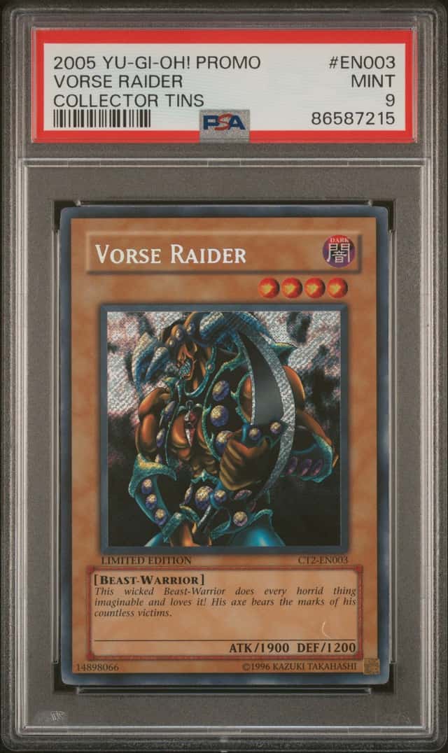 Vorse Raider