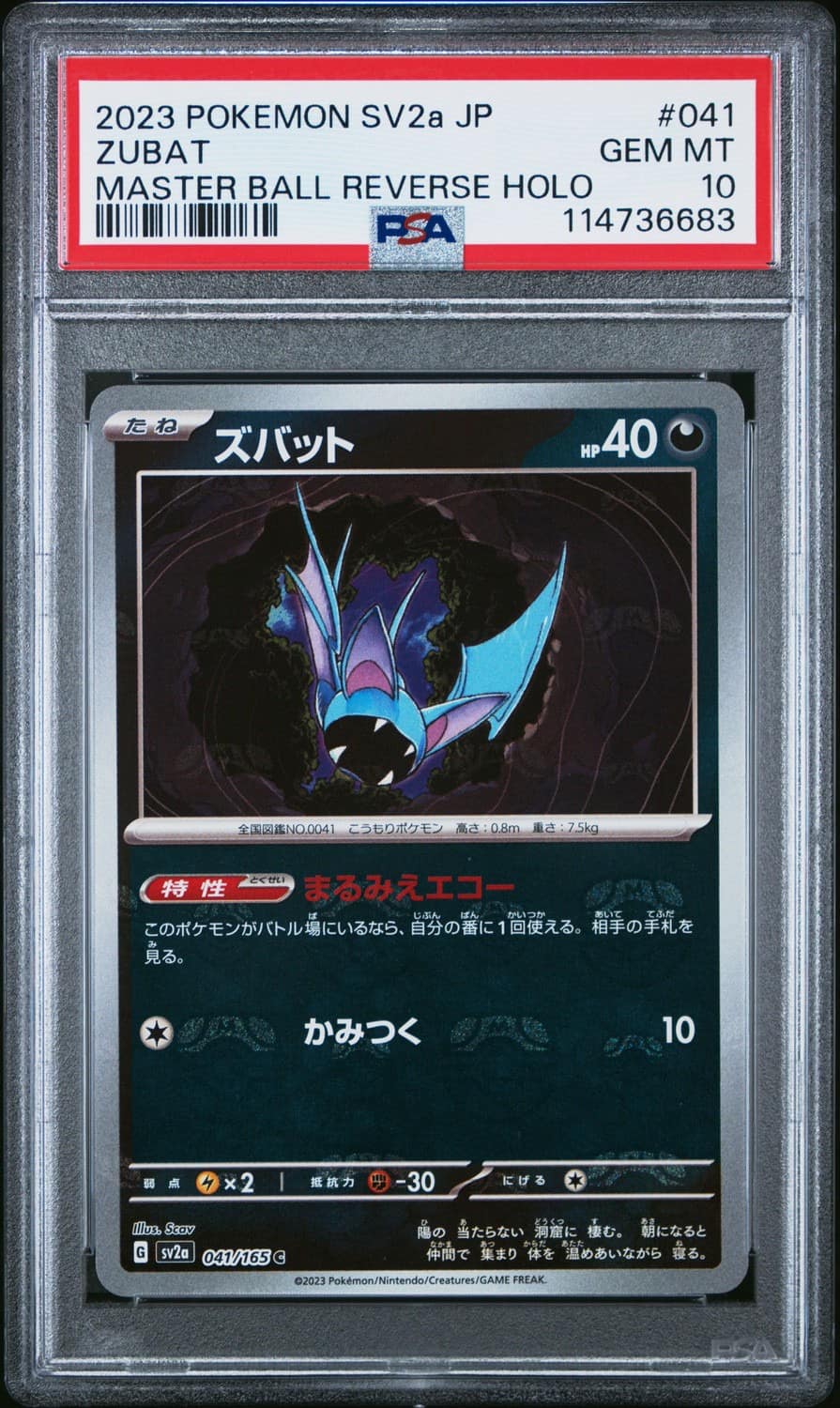 Zubat
