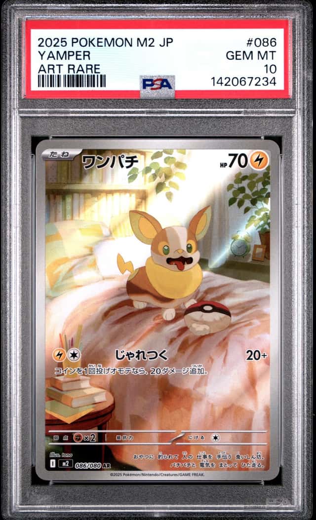 Yamper