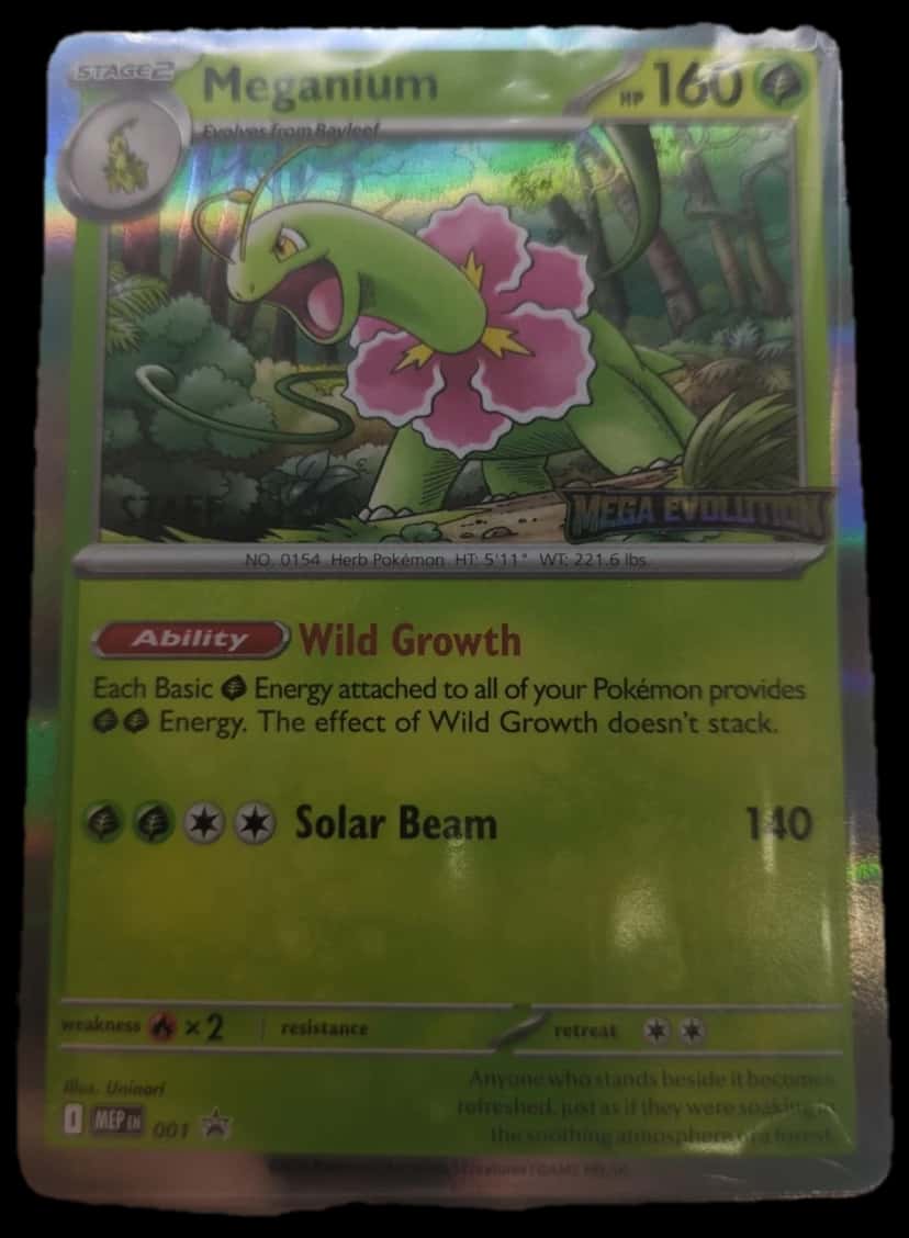 Mega Evolution Prerelease Meganium Staff Prerelease Promo sealed promo card