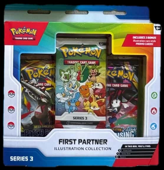 Collection X First Partner Illustration Collection collection box