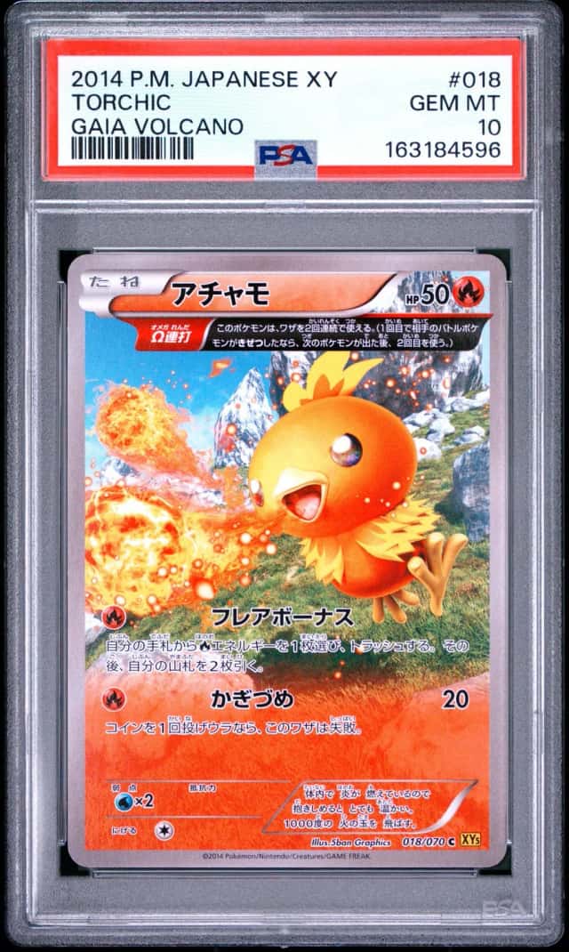 Torchic