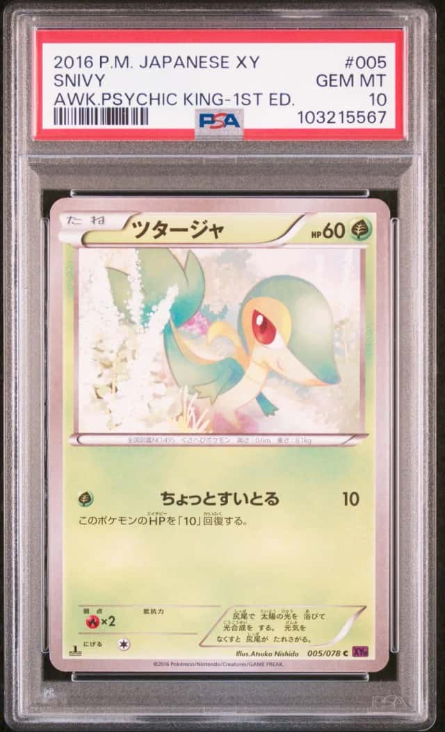 Snivy