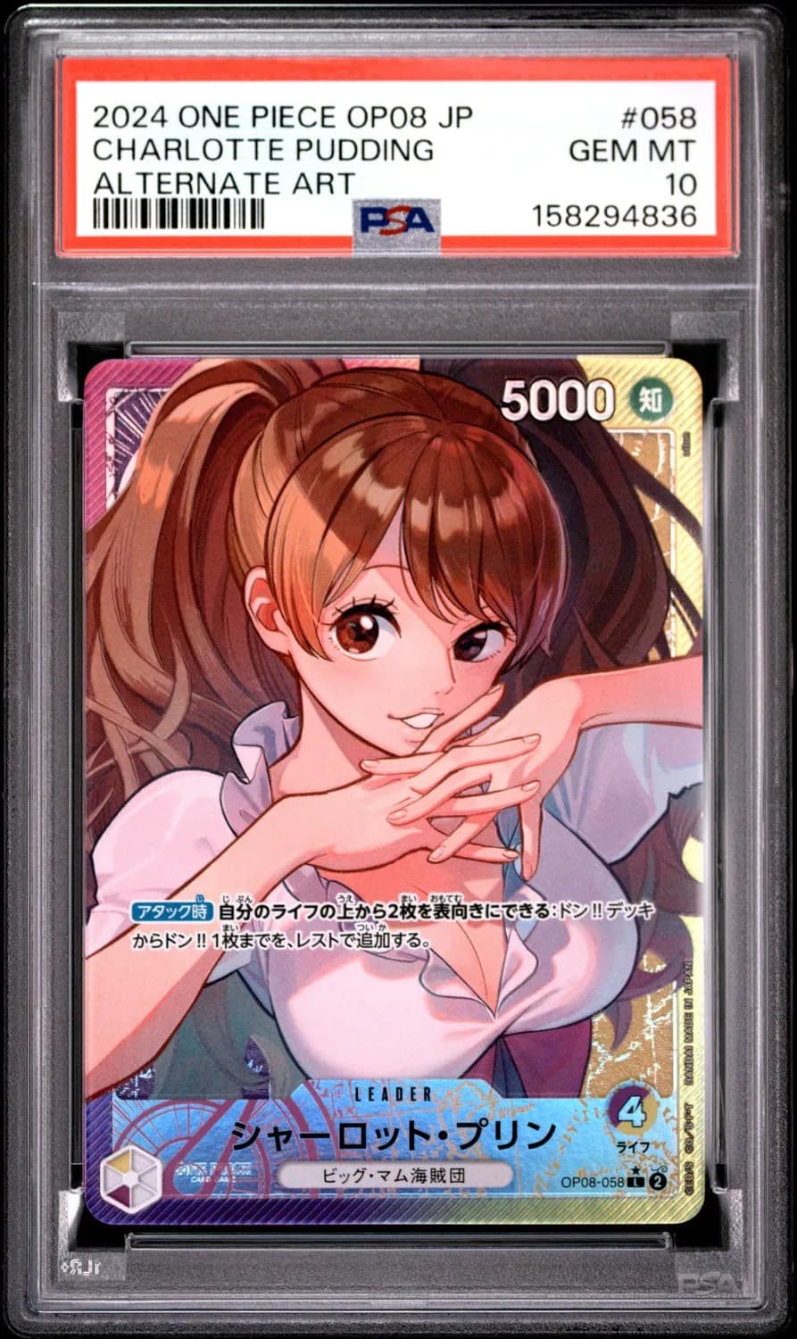Charlotte Pudding