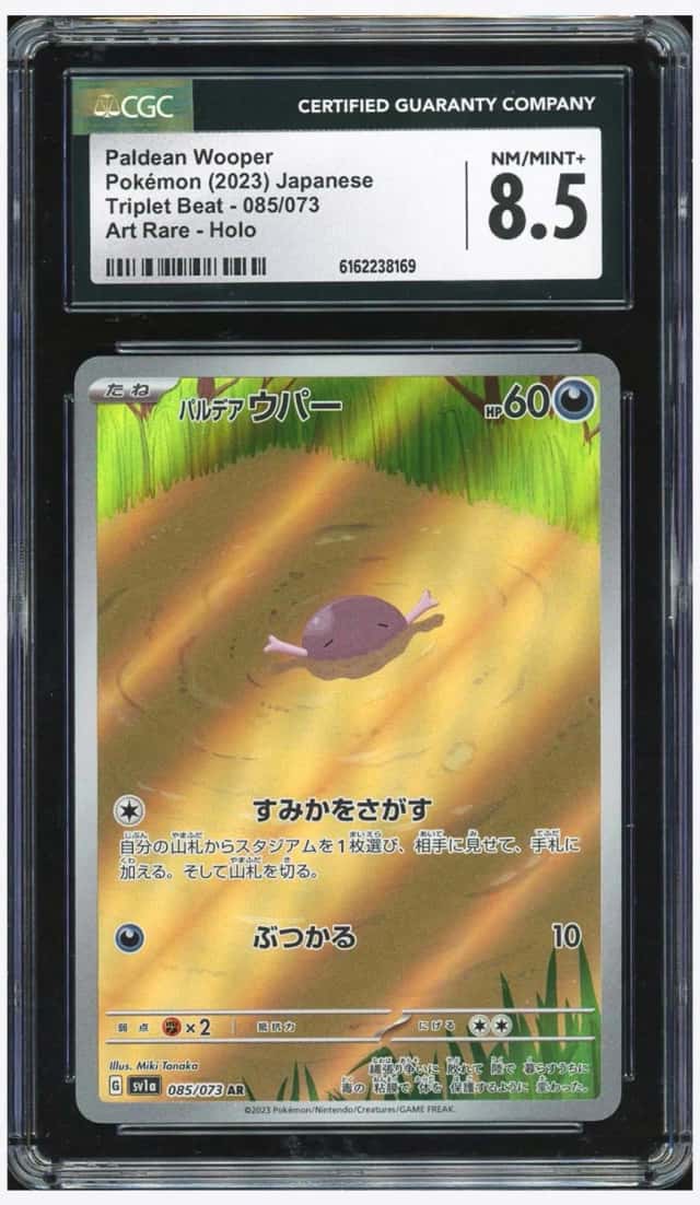 Paldean Wooper