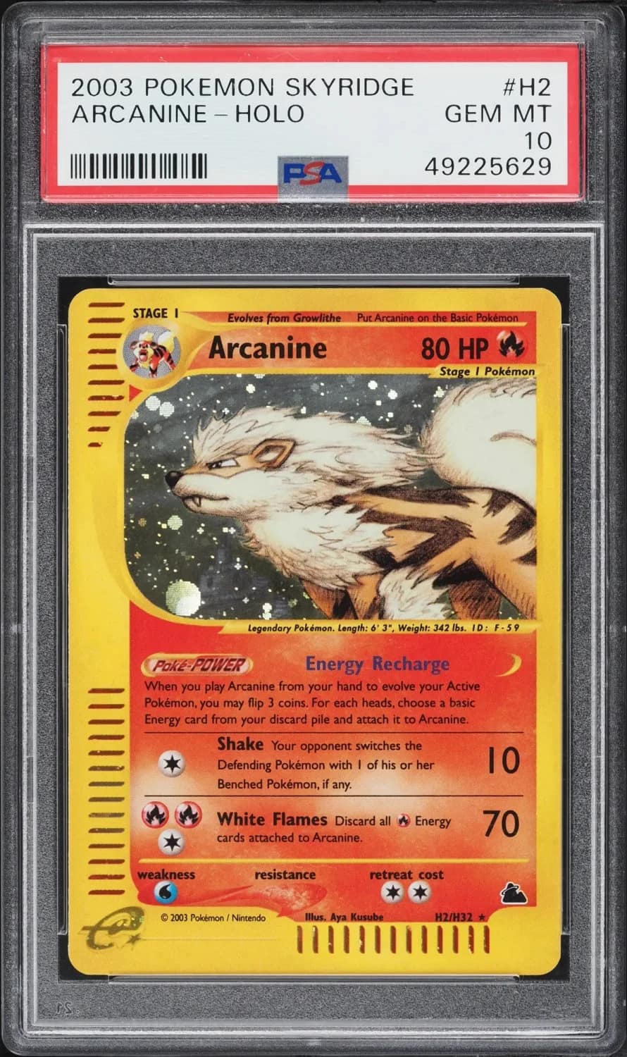 Arcanine