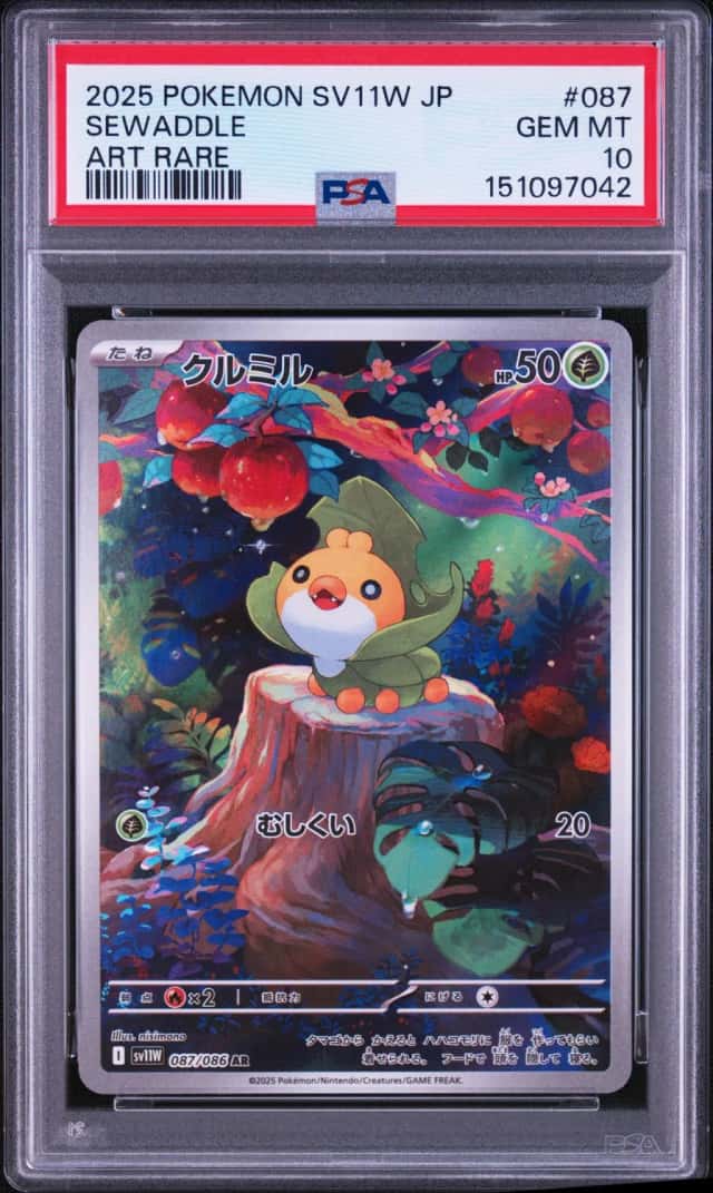 Sewaddle