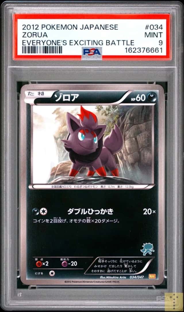 Zorua