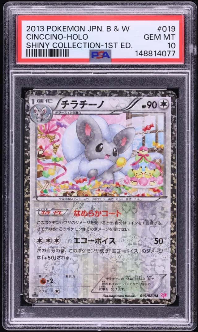 Cinccino