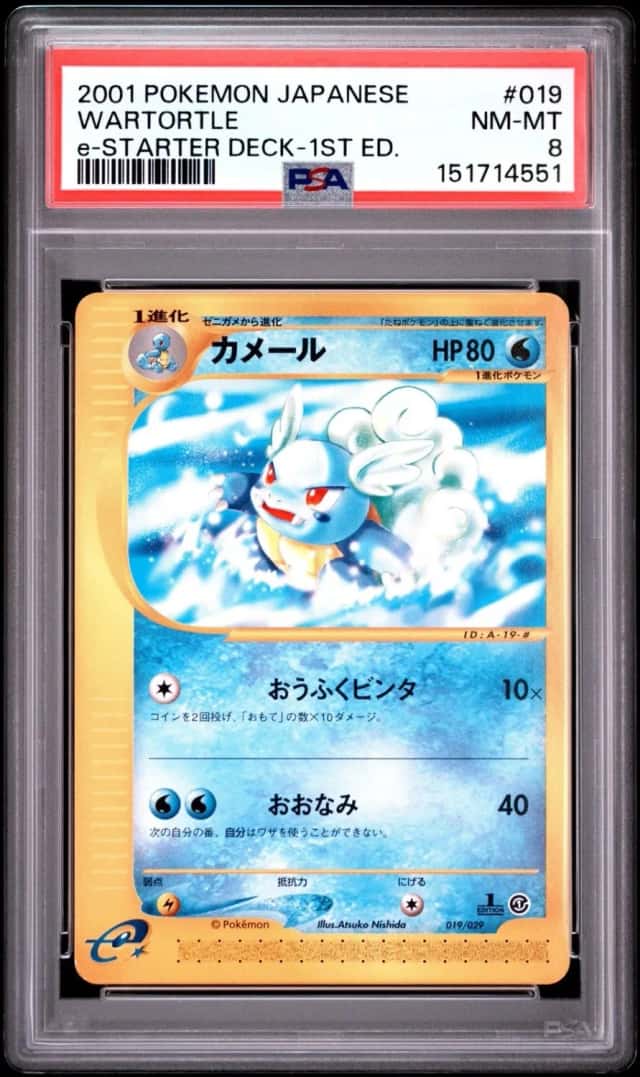 Wartortle