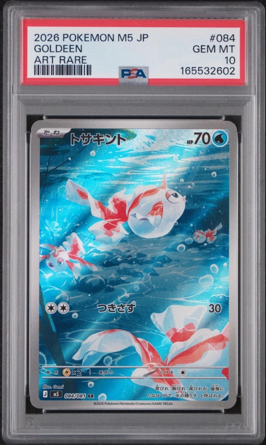 Goldeen