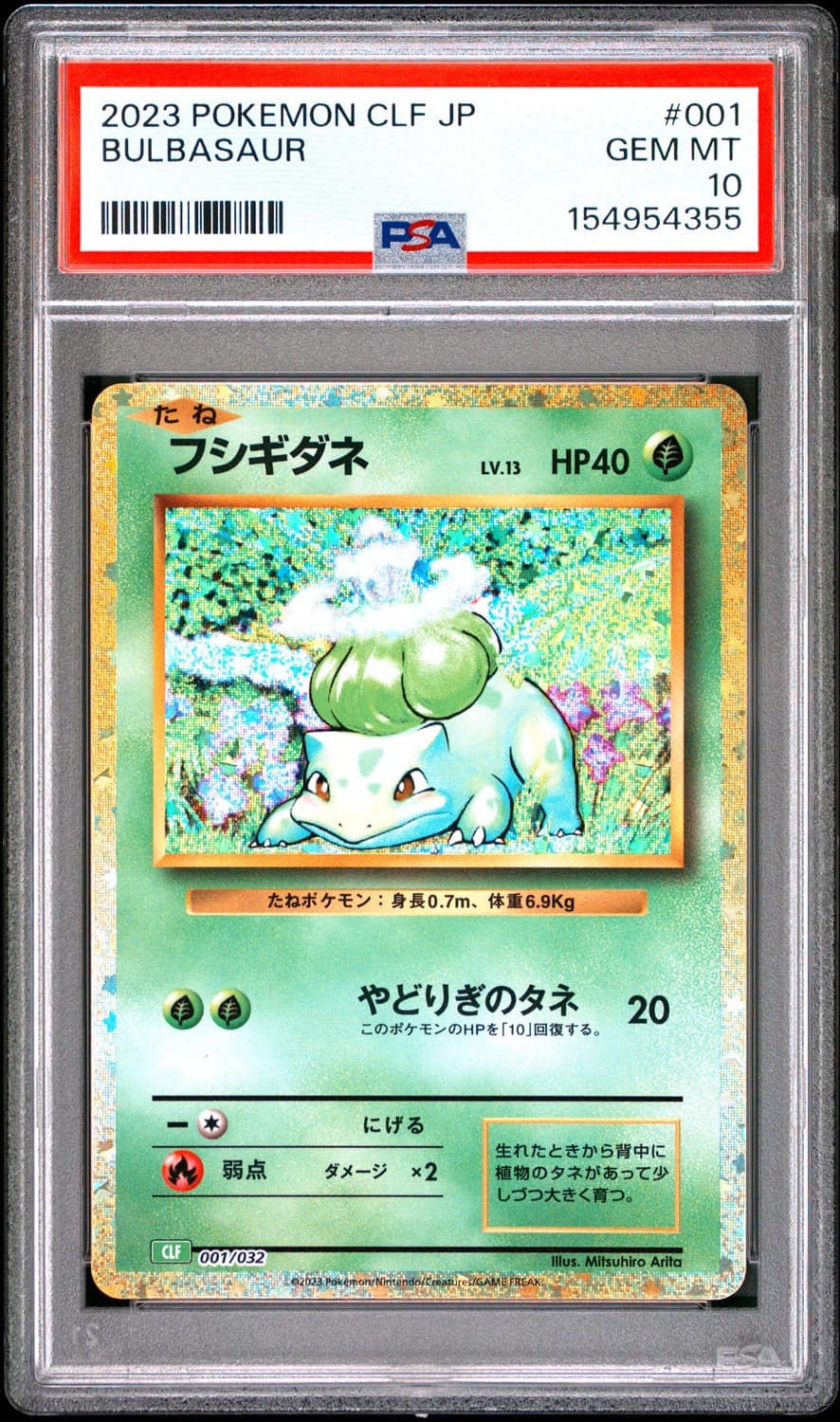 Squirtle