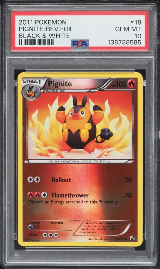 PIGNITE
