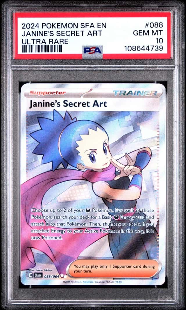 Janine's Secret Art