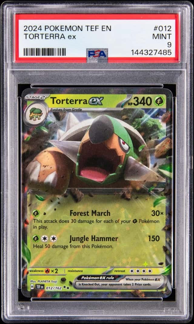 TORTERRA ex